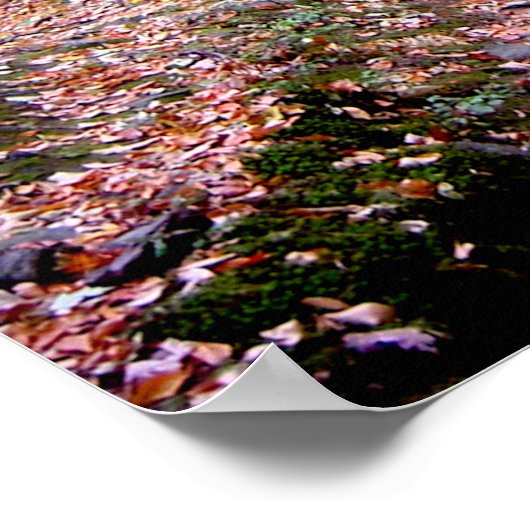 Herfst op Blue Hills Reservation Red Dot Trail Poster (Hoek)