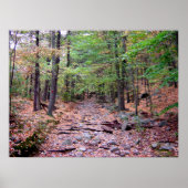 Herfst op Blue Hills Reservation Red Dot Trail Poster (Voorkant)