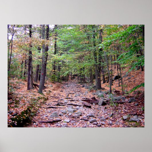 Herfst op Blue Hills Reservation Red Dot Trail Poster (Voorkant)