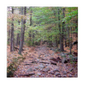 Herfst op Blue Hills Reservation Red Dot Trail Tegeltje (Voorkant)