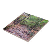 Herfst op Blue Hills Reservation Red Dot Trail Tegeltje (Zijkant)