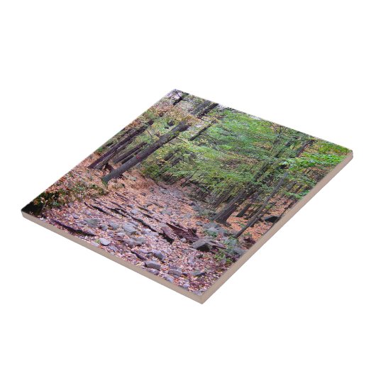 Herfst op Blue Hills Reservation Red Dot Trail Tegeltje (Zijkant)