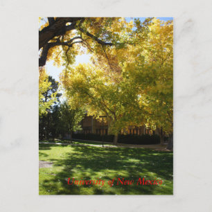 Herfst op campus I Briefkaart
