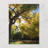 Herfst op Campus II Briefkaart (Voorkant)