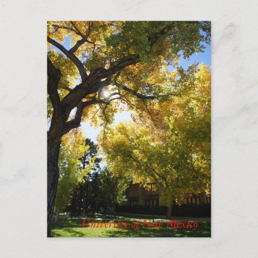 Herfst op Campus II Briefkaart (Voorkant)