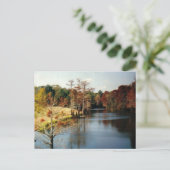 Herfst op de Bayou-ansichtkaart Briefkaart (Staand voorkant)