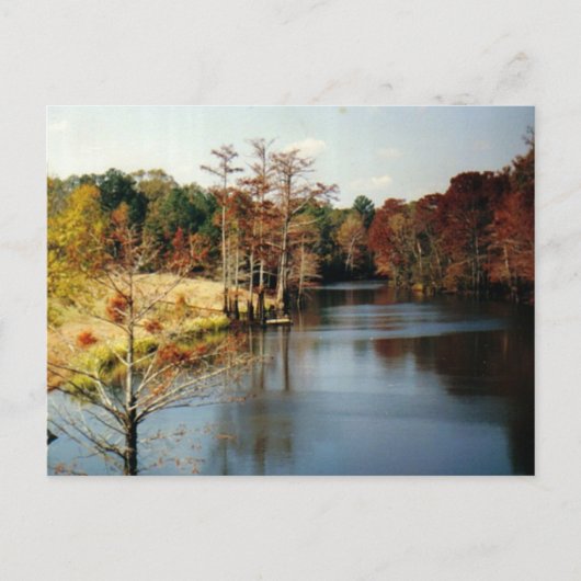 Herfst op de Bayou-ansichtkaart Briefkaart (Voorkant)