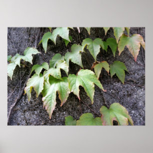 Herfst op de muur poster