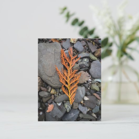 Herfst op de rotsen briefkaart (Staand voorkant)