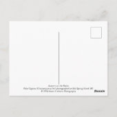 Herfst op de rotsen briefkaart (Achterkant)