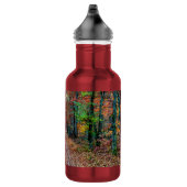 Herfst op de vuile weg nieuwe roestvrijstalen wate waterfles  (Rechts)