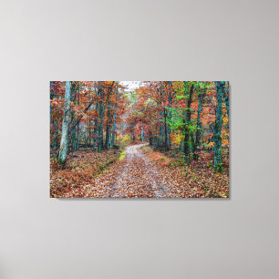 Herfst op de vuistweg canvas afdruk