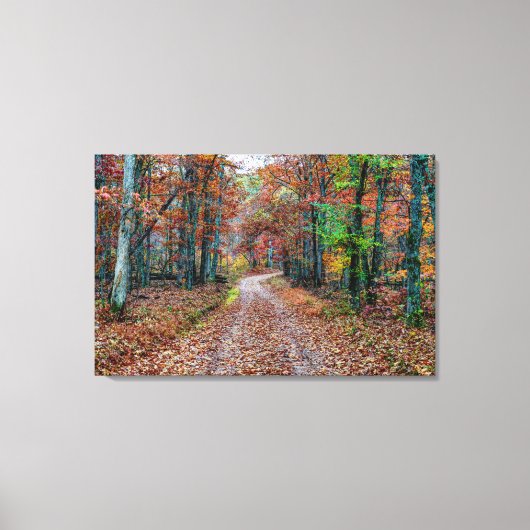Herfst op de vuistweg canvas afdruk (Voorkant)
