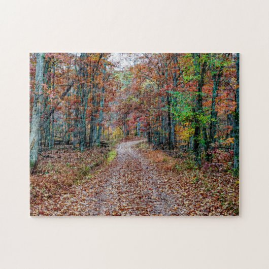 Herfst op de vuistweg legpuzzel (Horizontaal)