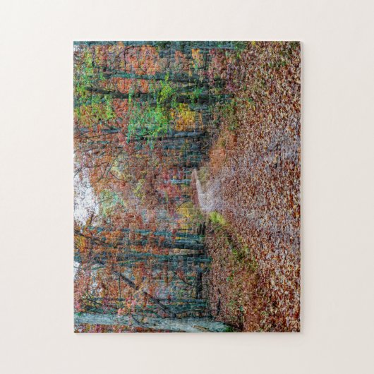 Herfst op de vuistweg legpuzzel (Verticaal)