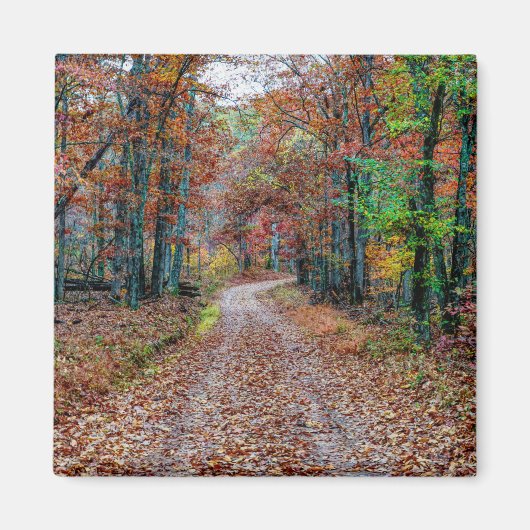 Herfst op de vuistweg magneet (Voorkant)