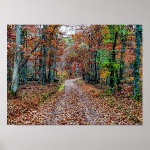 Herfst op de vuistweg poster