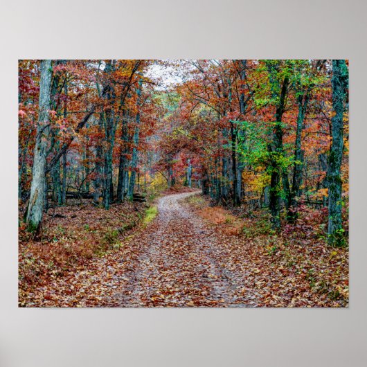 Herfst op de vuistweg poster (Voorkant)