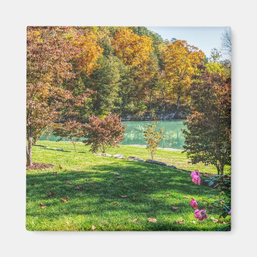 herfst op Dogwood Magneet (Voorkant)