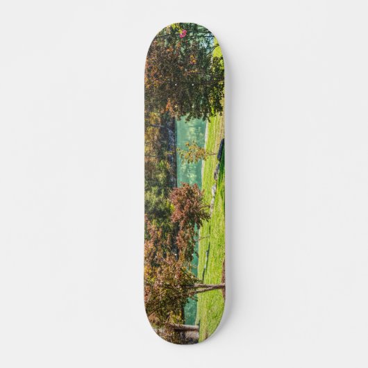 herfst op Dogwood Persoonlijk Skateboard (Voorkant)