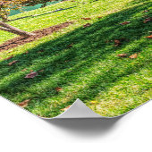 herfst op Dogwood Poster (Hoek)