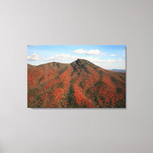 Herfst op Hawksbill Mountain, North Carolina Canvas Afdruk (Voorkant)