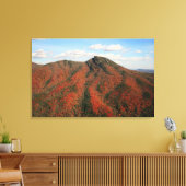 Herfst op Hawksbill Mountain, North Carolina Canvas Afdruk (Insitu (Woonkamer))