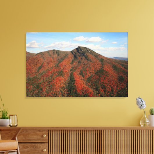 Herfst op Hawksbill Mountain, North Carolina Canvas Afdruk (Insitu (Woonkamer))