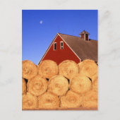 Herfst op het Boerderij Briefkaart (Voorkant)