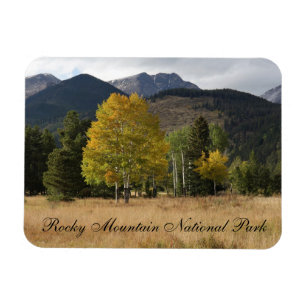 Herfst op het Nationaal Park Mummy Range Rocky Mou Magneet