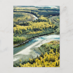 Herfst op het Nationaal Vluchtelingenpark van Yuko Briefkaart