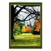 herfst op het park (Voorkant)