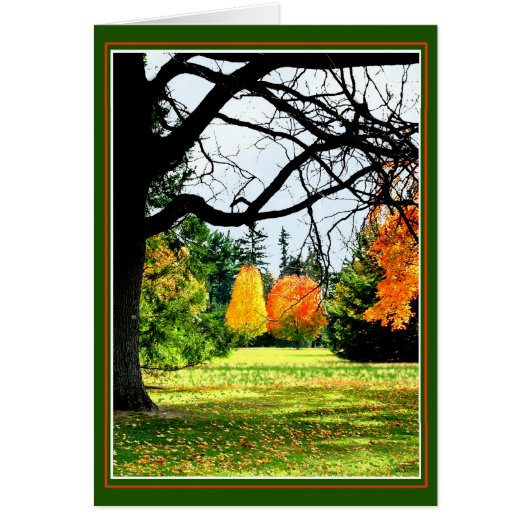 herfst op het park (Voorkant)