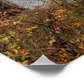 Herfst op het Poster Haviland Cove Beach (Hoek)