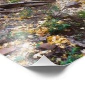 Herfst op het spoor van de West Fork Foto Afdruk (Hoek)