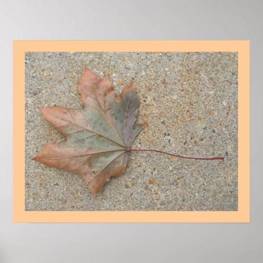 Herfst op het Trottoir Poster (Voorkant)