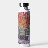Herfst op Saint Mary's College Waterfles (Links)