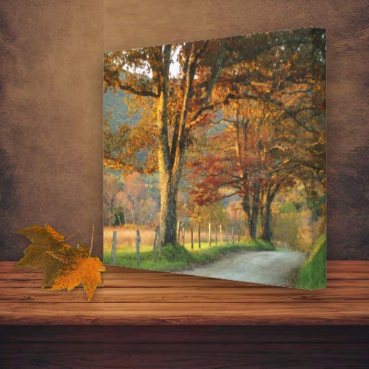 Herfst op Sparks Lane Canvas Afdruk