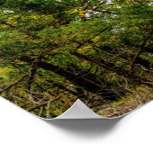Herfst op Truman-dam Poster (Hoek)