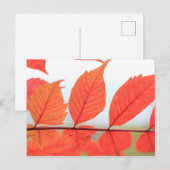 Herfst Oranje Bladeren Briefkaart (Voorkant / Achterkant)