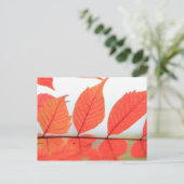 Herfst Oranje Bladeren Briefkaart (Staand voorkant)