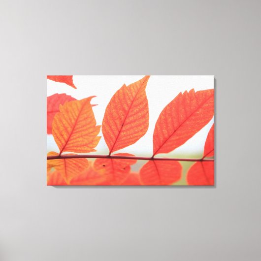 Herfst Oranje Bladeren Canvas Afdruk (Voorkant)