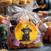 Herfst Oranje en rode kitten heks Halloween Ronde Sticker