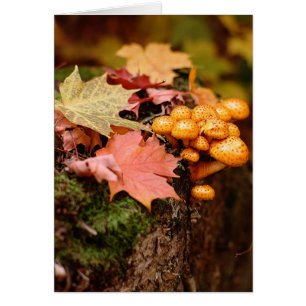 Herfst Oranje paddenstoelen Noteer Kaart