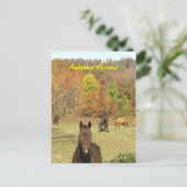 Herfst Paarden Briefkaart (Staand voorkant)