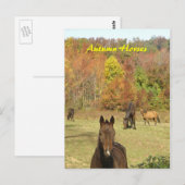 Herfst Paarden Briefkaart (Voorkant / Achterkant)