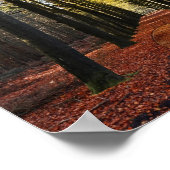 herfst pad bos boom tak weg route liefde hart poster (Hoek)