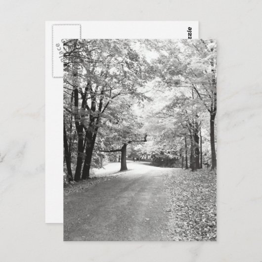 Herfst pad briefkaart (Voorkant / Achterkant)