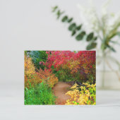 Herfst pad briefkaart (Staand voorkant)