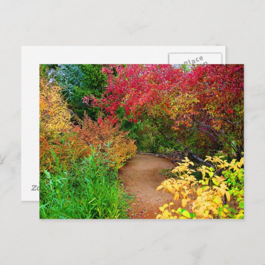 Herfst pad briefkaart (Voorkant / Achterkant)